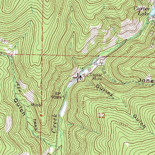 Topographic Map of Gurley Gulch, CO