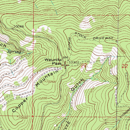 Topographic Map of Waunita Pass, CO