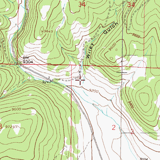 Topographic Map of Wiley Gulch, CO