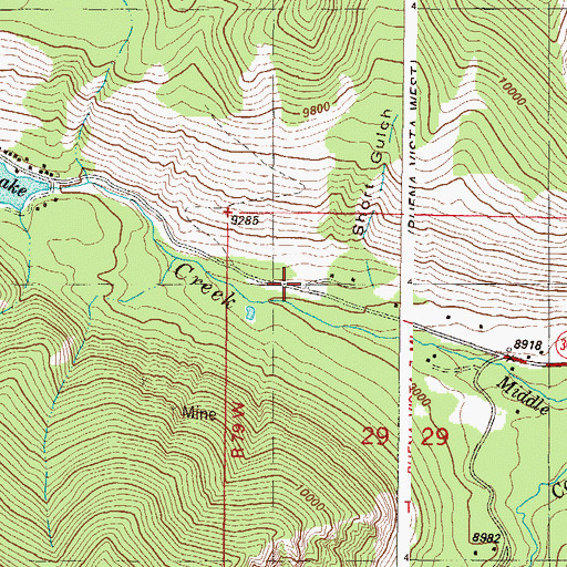 Topographic Map of Short Gulch, CO