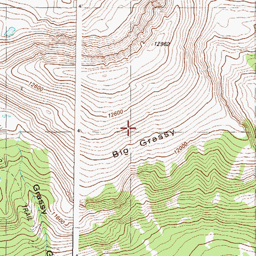 Topographic Map of Big Grassy, CO