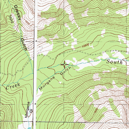 Topographic Map of Morgans Gulch, CO