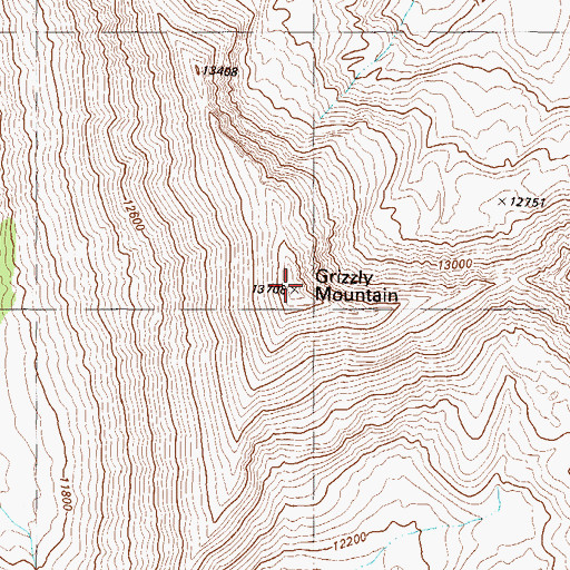 Topographic Map of Grizzly Mountain, CO