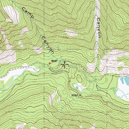 Topographic Map of Coal Camp Canyon, CO