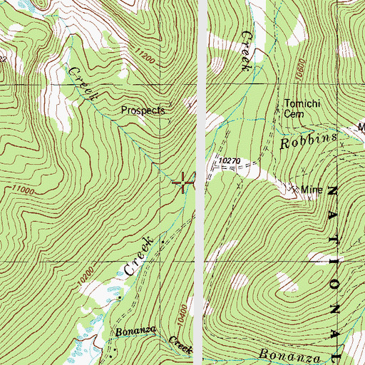 Topographic Map of Buckhorn Creek, CO