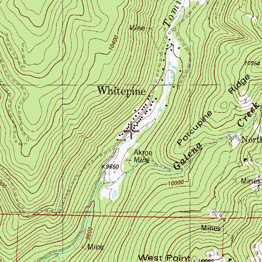 Topographic Map of Whitepine, CO