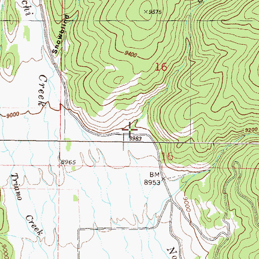 Topographic Map of Deadman Gulch, CO