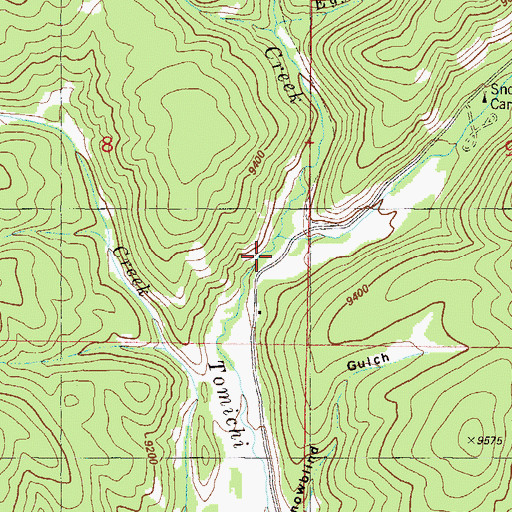 Topographic Map of Canyon Creek, CO