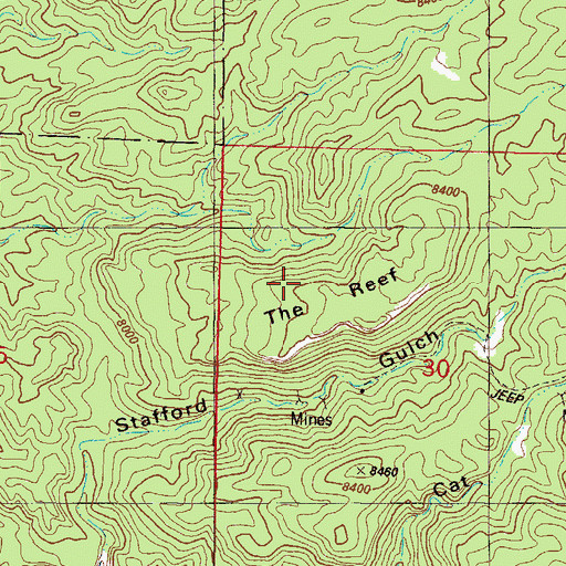 Topographic Map of The Reef, CO
