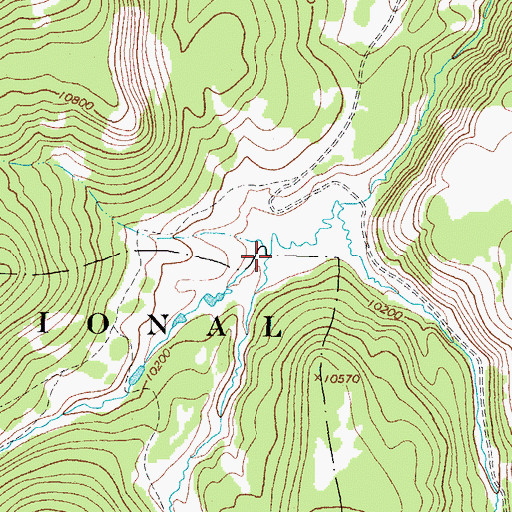 Topographic Map of Whale Creek, CO