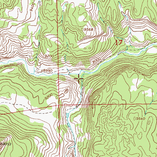 Topographic Map of California Gulch, CO