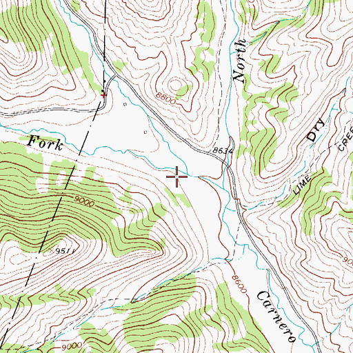 Topographic Map of Middle Fork Carnero Creek, CO