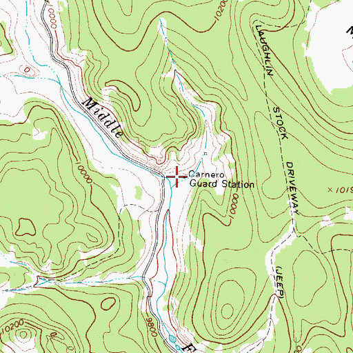 Topographic Map of Carnero Guard Station, CO