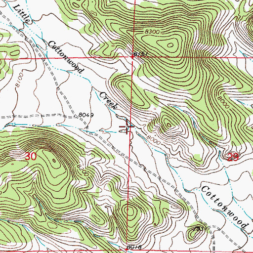 Topographic Map of Little Cottonwood Creek, CO