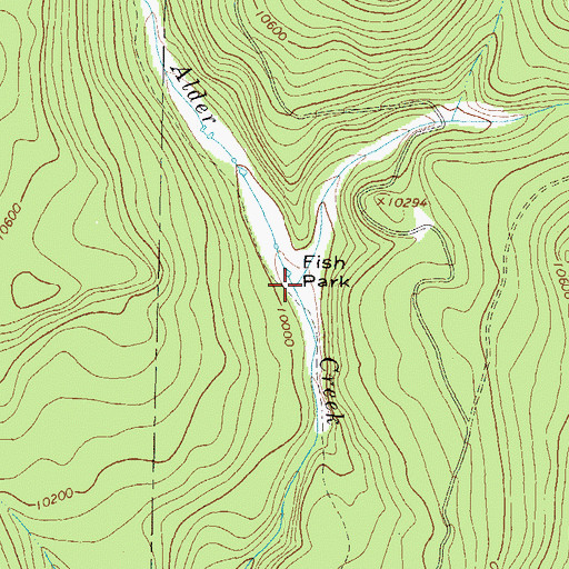 Topographic Map of East Fork Alder Creek, CO