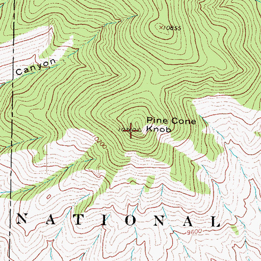 Topographic Map of Pine Cone Knob, CO