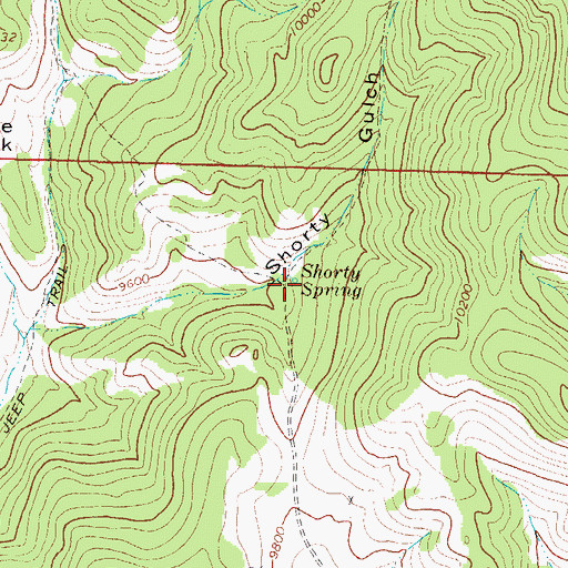 Topographic Map of Shorty Spring, CO