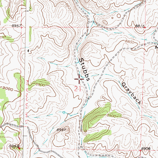 Topographic Map of Grayback Gulch, CO