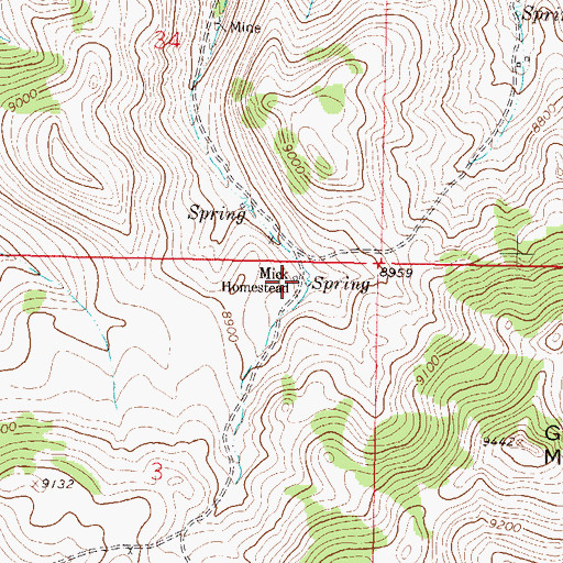 Topographic Map of Mick Homestead, CO