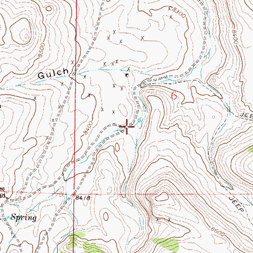 Topographic Map of Dirigo Gulch, CO