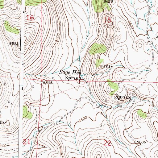 Topographic Map of Sage Hen Spring, CO