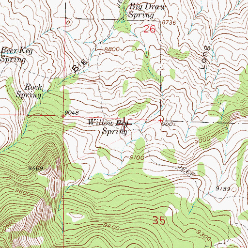 Topographic Map of Willow Bog Spring, CO