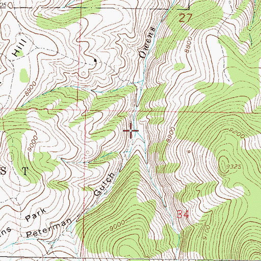 Topographic Map of Peterman Gulch, CO