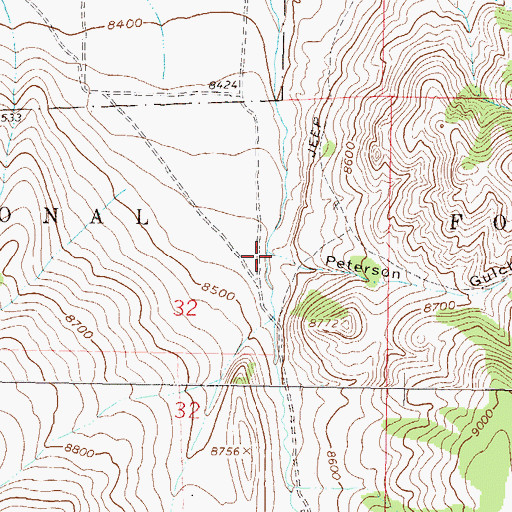 Topographic Map of Peterson Gulch, CO