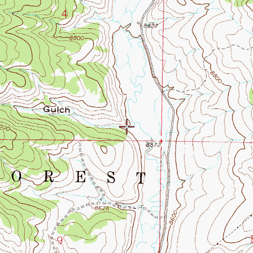 Topographic Map of Cow Gulch, CO