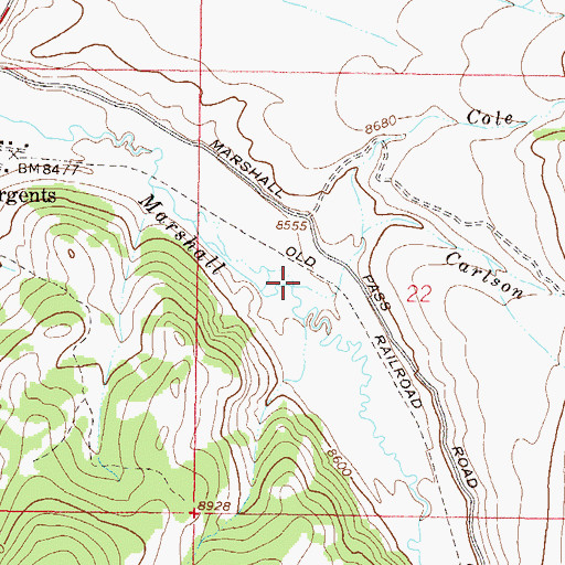 Topographic Map of Carlson Creek, CO