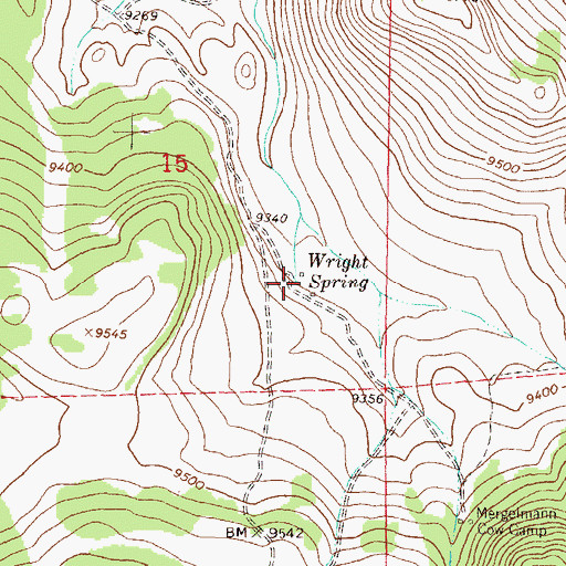 Topographic Map of Right Spring, CO