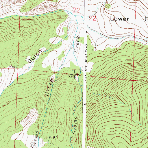 Topographic Map of Gismo Creek, CO