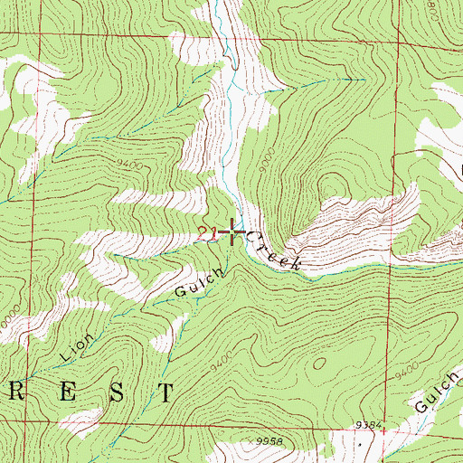 Topographic Map of Lion Gulch, CO