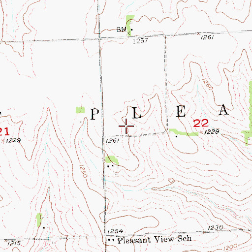 Topographic Map of Township of Mount Pleasant, NE