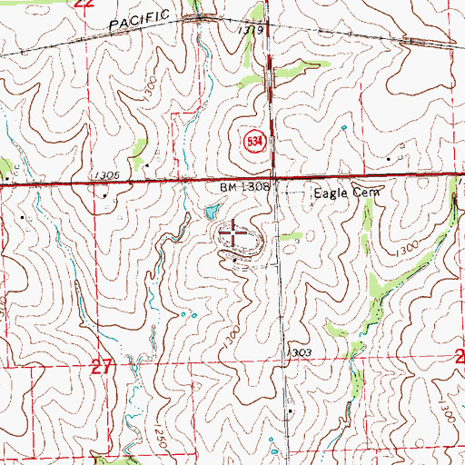 Topographic Map of Eagle Raceway, NE