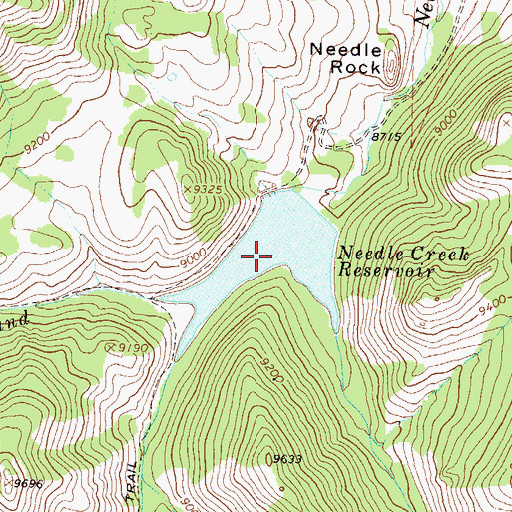 Topographic Map of Needle Creek Reservoir, CO