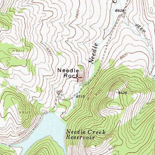 Topographic Map of Needle Rock, CO