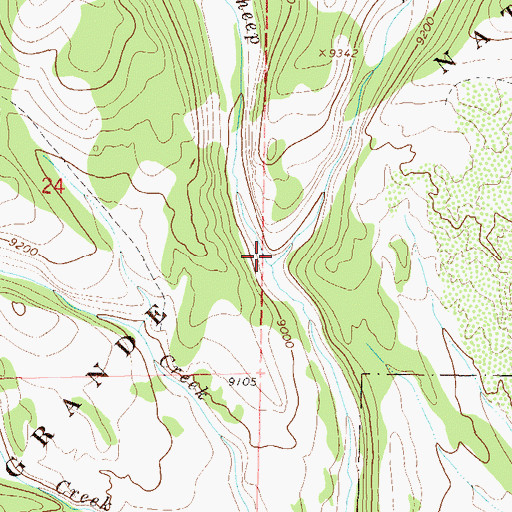 Topographic Map of East Sheep Creek, CO