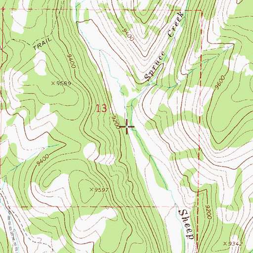 Topographic Map of Spruce Creek, CO