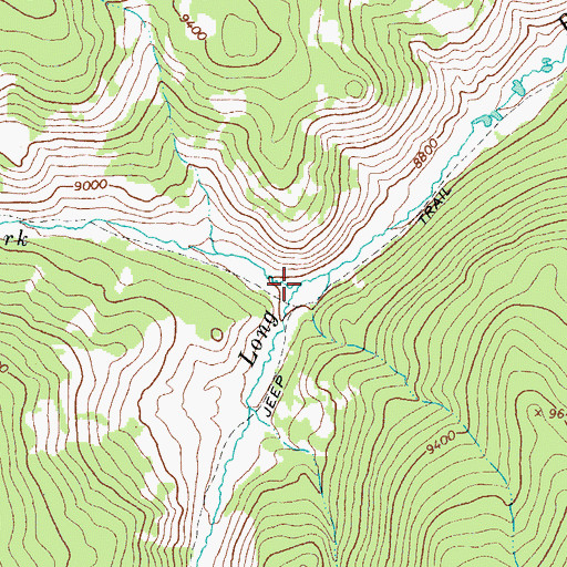Topographic Map of West Fork Long Branch Tomichi Creek, CO