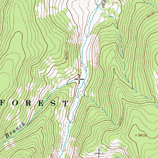 Topographic Map of Baldy Branch, CO
