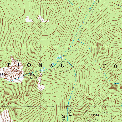 Topographic Map of Toll Road Gulch, CO