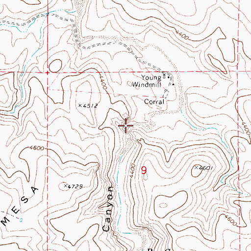Topographic Map of Box Canyon, AZ