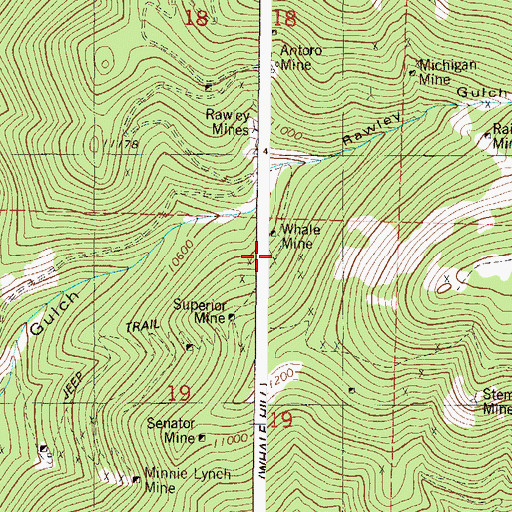 Topographic Map of Whale Mine, CO