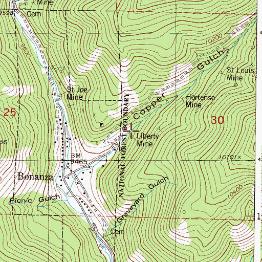 Topographic Map of Liberty Mine, CO