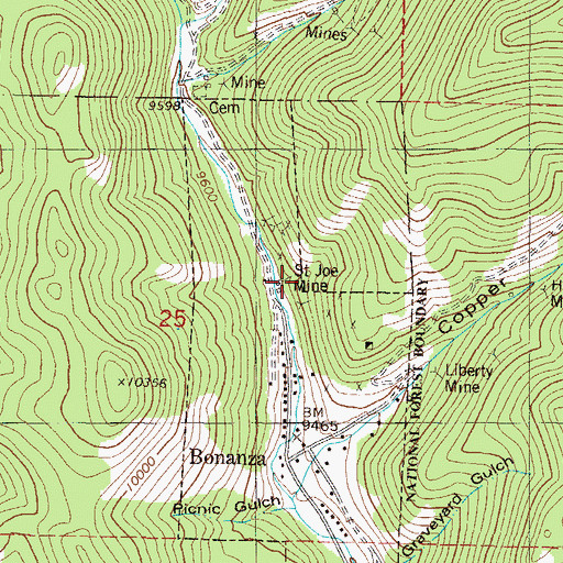 Topographic Map of Saint Joe Mine, CO