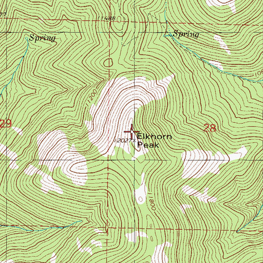 Topographic Map of Elkhorn Peak, CO