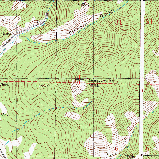 Topographic Map of Raspberry Peak, CO