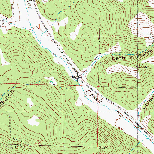 Topographic Map of Eagle Gulch, CO
