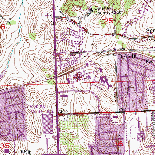 Topographic Map of CHI Health - Immanuel Medical Center, NE
